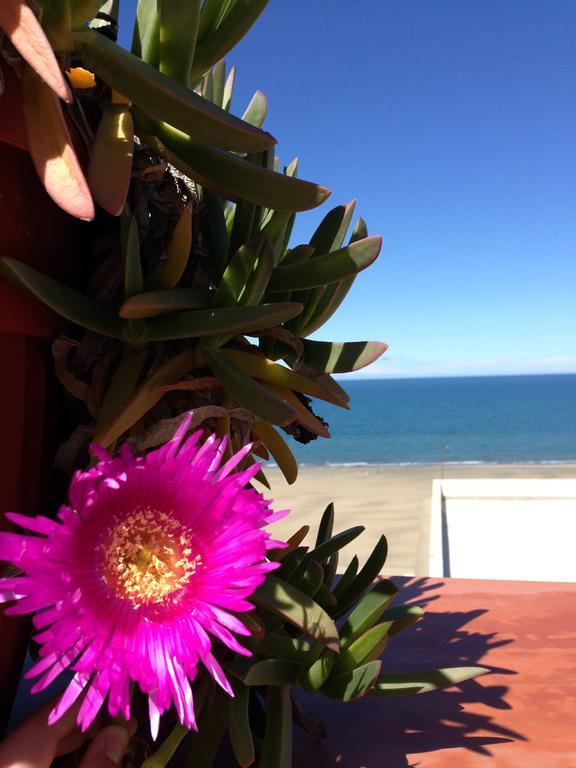 Little Paradise Casa Vacanze Margherita Di Savoia Εξωτερικό φωτογραφία